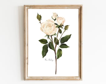 English Rose Art Print, Garden Floral Wall Decor, Botanical Flower Art, Country Cottage Art, England National Flower Gift