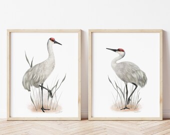 Sandhill Crane Art Prints, Set of 2 Large Bird Prints, Farmhouse Bird Art, Coastal Bird Pictures, Mothers Day Gift,