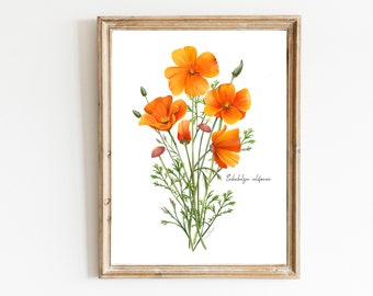 California Poppies Art Print, State Flower Art, Poppy Floral Decor, Botanical Flower Art, Modern Flower Artwork, Mothers Day Flower Picture