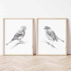 Bird Pencil Drawings, Set of 2 Bird Prints, Farmhouse Wall Decor, Grey Bird Art, Simple Bird Drawings, Nature Sketch Prints, Home Gift Print