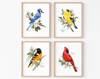 Birds and Leaves Art Print Set, Colorful Backyard Birds, Bird Print Wall Art, State Bird Prints, Birds and Flowers Artwork,  Bird Art Gift