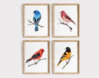 Bird Art Print Set, Mix and Match Songbird Pictures, Set of 4 Backyard Bird Illustrations, Colorful Bird Art, Gift for Bird Lover,