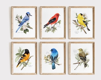 Bird Art Print Set, Backyard Birds of Midwest, Bird Print Wall Art, State Bird Prints, Birds and Flowers Artwork,  Bird Gift for Women,