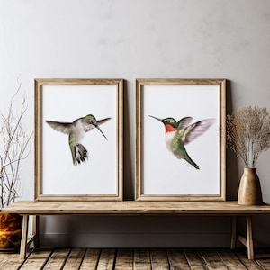 Impressions d'art colibri : lot de 2 décorations murales oiseau rouge et vert