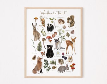 Woodland Animal Poster, Baby Room Forest Wall Decor, Woodland Nursery Print, Woodland Flowers Foliage, Woodland Animals Art Gift for Kids,