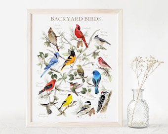 Backyard Birds Art Print, Garden Bird Illustration, Bird Poster, Garden Birds of USA, Bird Gift for Mom, Gift for Dad,
