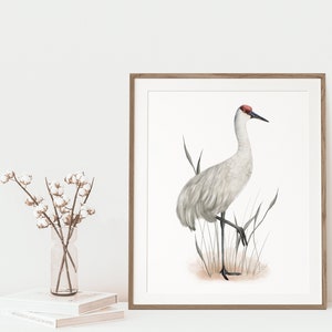 Sandhill Crane Wall Art Print, Coastal Bird Print, Bird Art Gift, Bird Lovers Gift, Tall Wading Bird, Simple Bird Decor, Wildlife Gift
