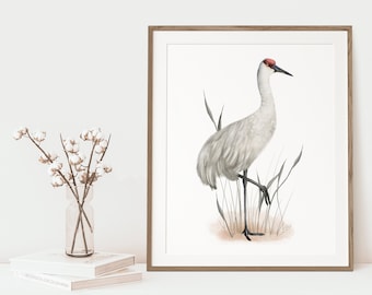 Kanadakranich Kunstdruck Küstenvogel Wanddeko