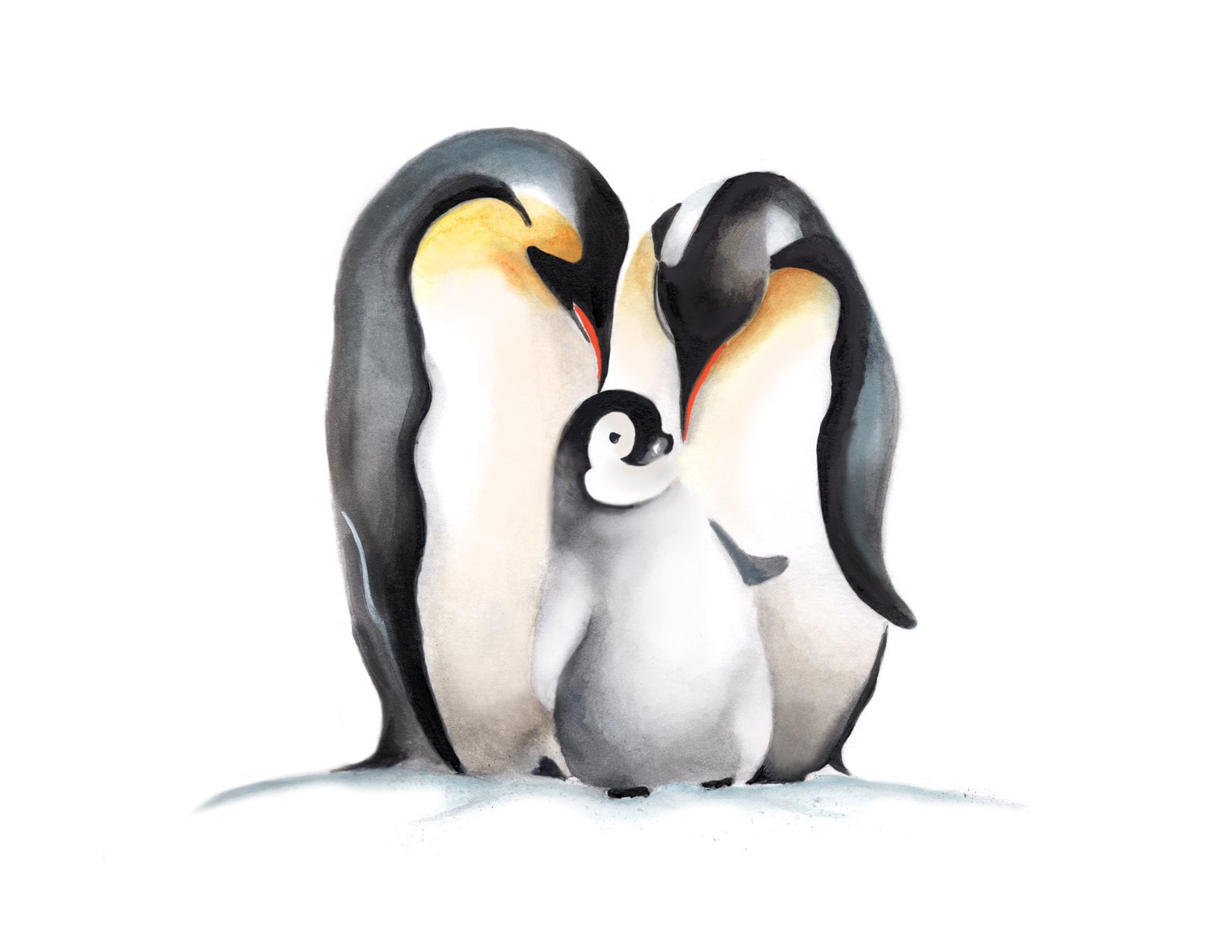 Пингвины моей мамы дата. Пингвины любовь. Пингвинчики картинки. Семья пингвинов. Пингвин акварелью.