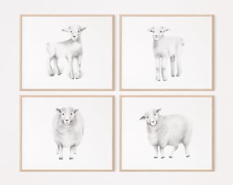 Nursery Art Prints, Farm Animal Prints, Set of 4 Lamb Nursery Art, Baby Animal Prints, Baby Shower Gift, Neutral Nursery Decor,