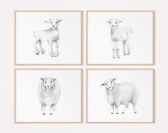 Lamb Nursery Art Prints: Farm Animal Pencil Drawings, Set of 4