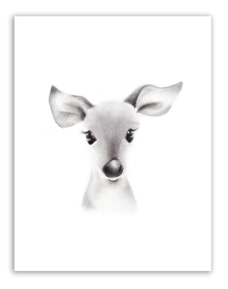 Baby Fawn Nursery Deer Face Sketch Woodland Nursery Prints - Etsy Singapore