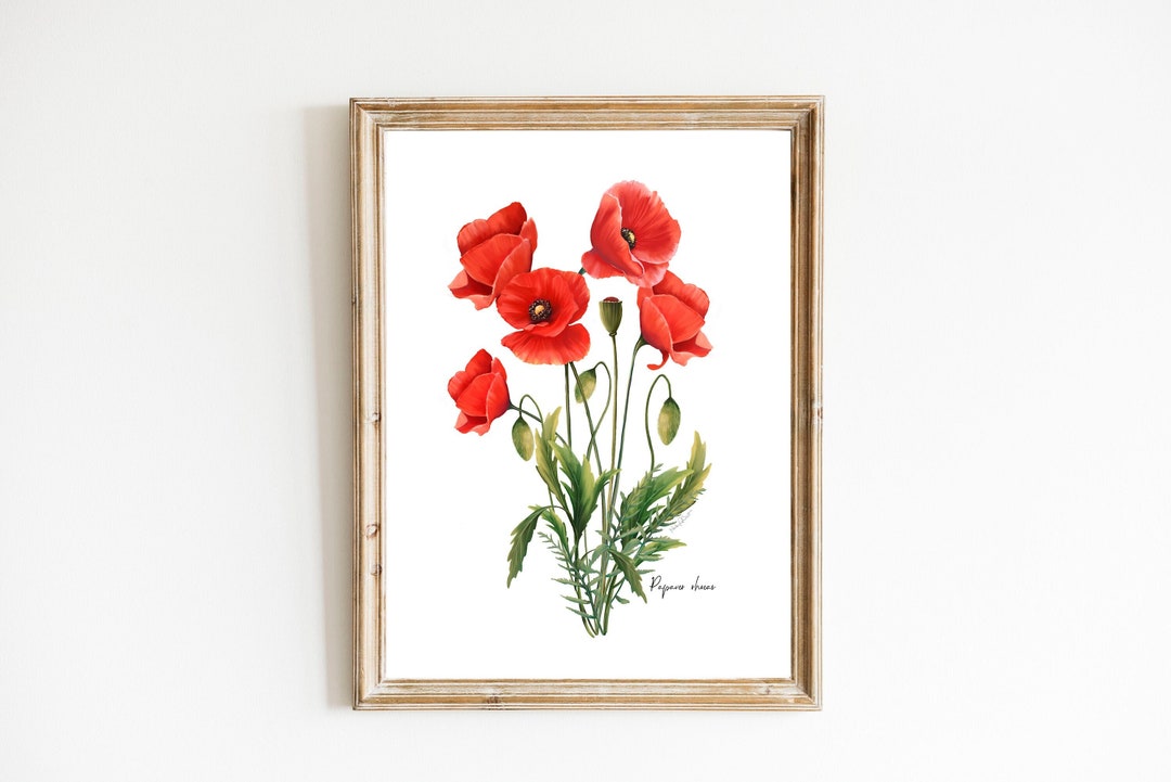 Red Poppy Flower Print: Modern Botanical Wall Art - Etsy