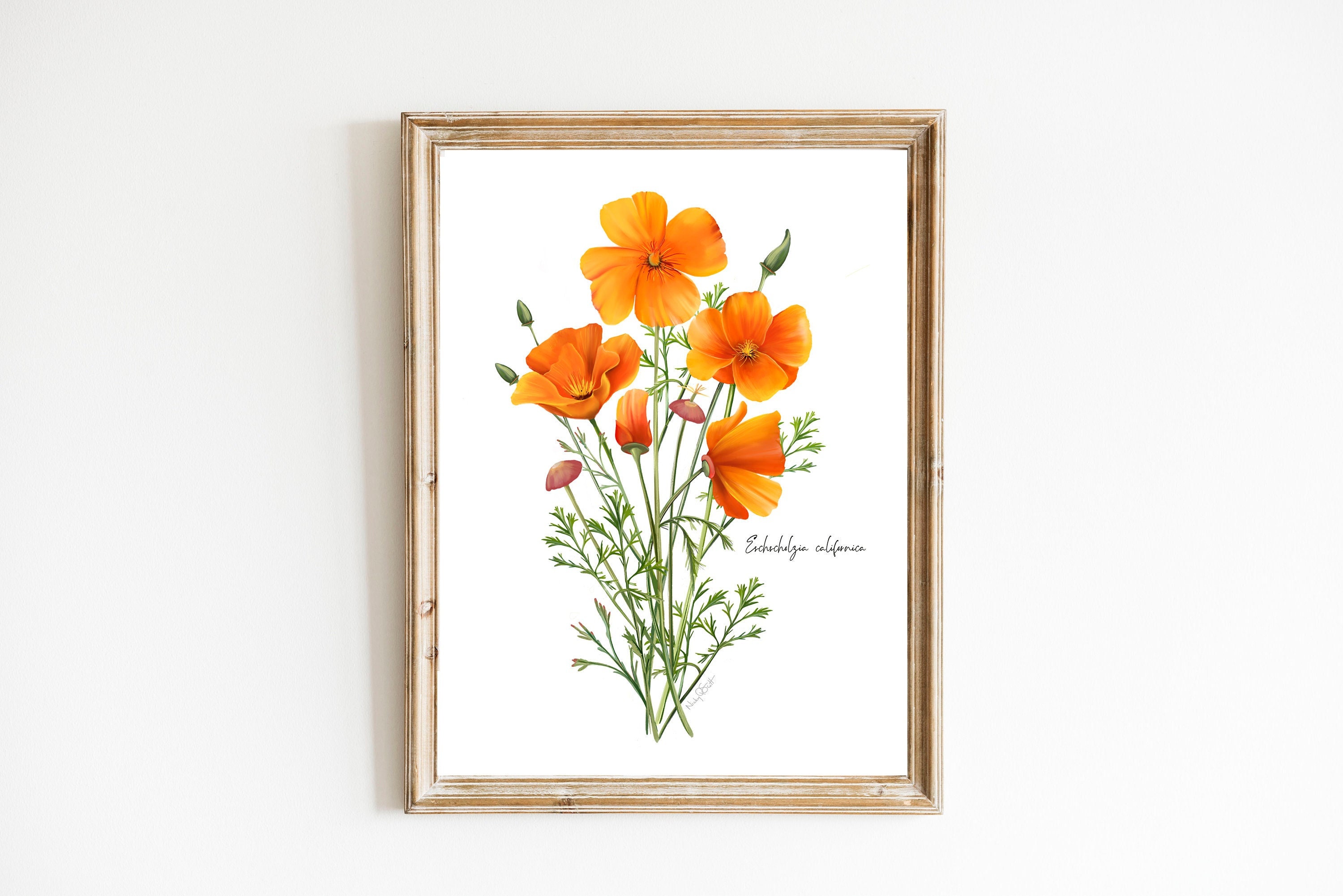 California Poppy Art Print: Modern Botanical Flower Artwork