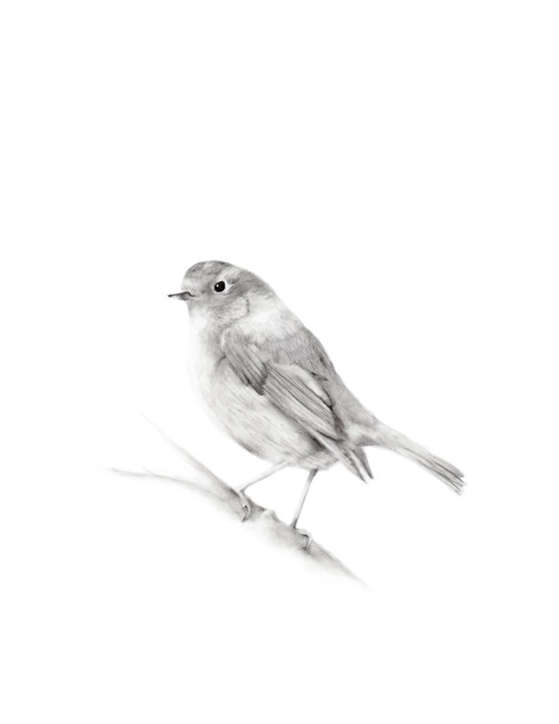 Birdie House Gicl\u00e9e print