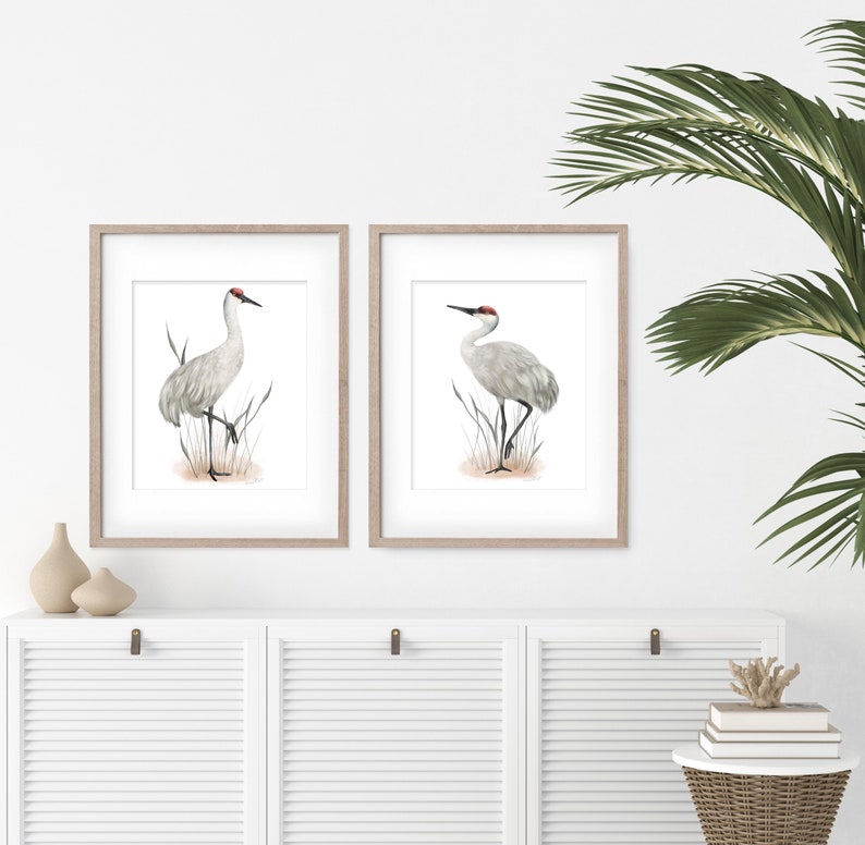 Sandhill Crane Art Prints, Set of 2 Tall Bird Prints, Farmhouse Bird Art, Coastal Bird Pictures, Great Plains Prairie Bird Artwork, image 4