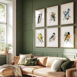May include: Six framed bird prints with watercolor illustrations hang on a green wall above a brown leather sofa. The prints feature various birds, including a blue jay, a woodpecker, and a yellow finch, perched on branches with leaves.