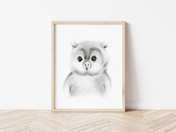 Grey Baby Owl Nursery Art Baby Animal Sketch Nursery Print - Etsy Australia
