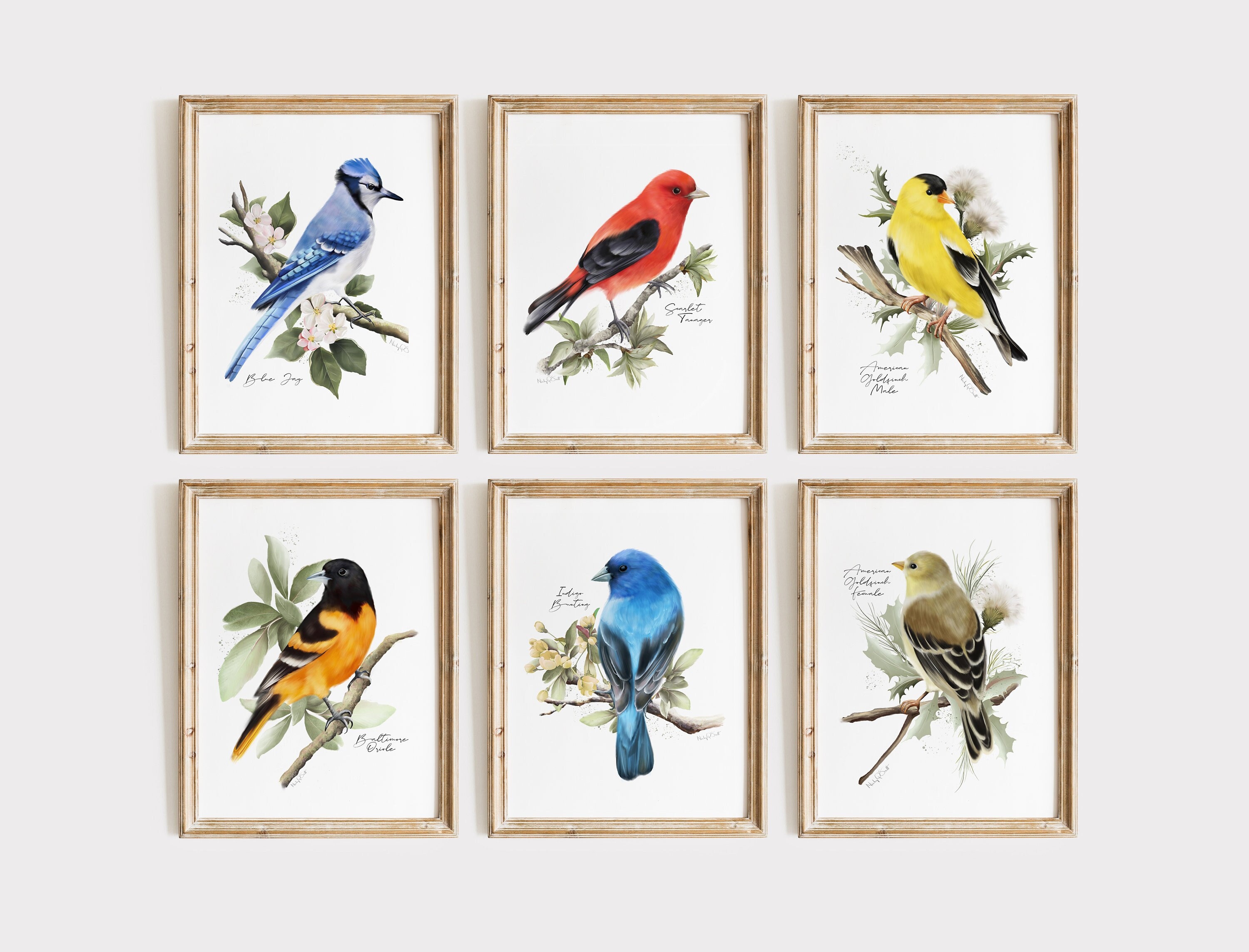 Backyard Birds Art Prints: Set of 6 Midwest Garden Birds & Flowers