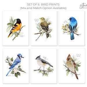 May include: Set of six bird prints featuring watercolor illustrations of various bird species. Each print showcases a different bird perched on a branch with foliage. The prints include text such as "Set of 6 Bird Prints" and the artist's name.