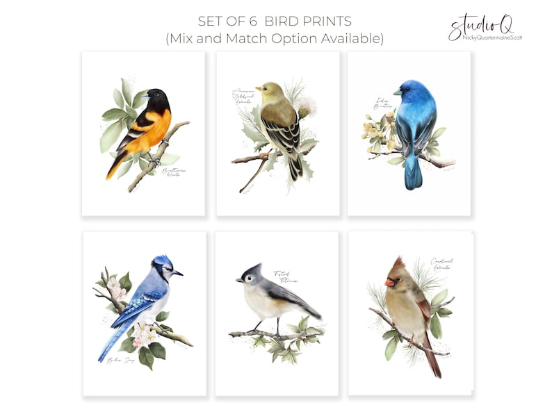 May include: Set of six bird prints featuring watercolor illustrations of various bird species. Each print showcases a different bird perched on a branch with foliage. The prints include text such as "Set of 6 Bird Prints" and the artist's name.