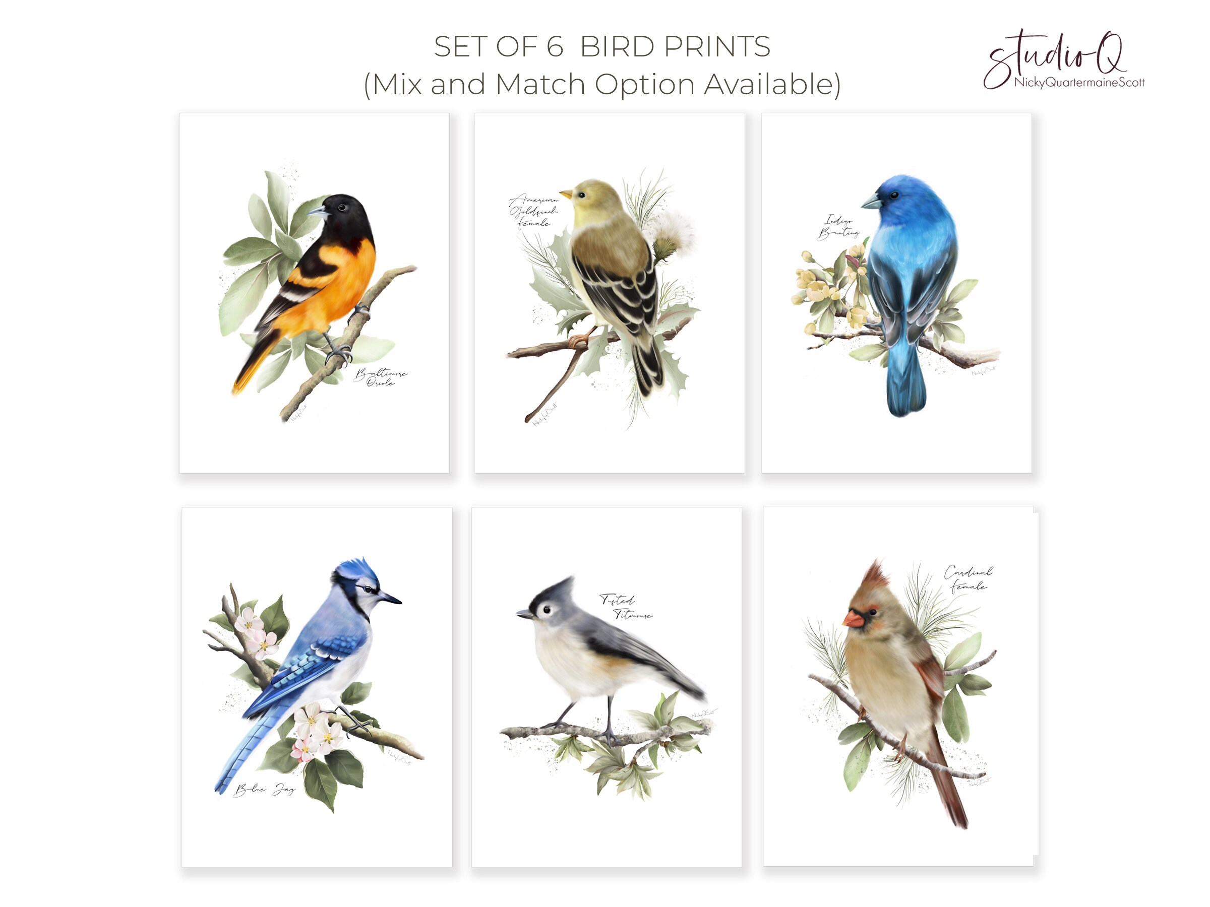 Backyard Birds Art Prints: Set of 6 Midwest Garden Birds & Flowers