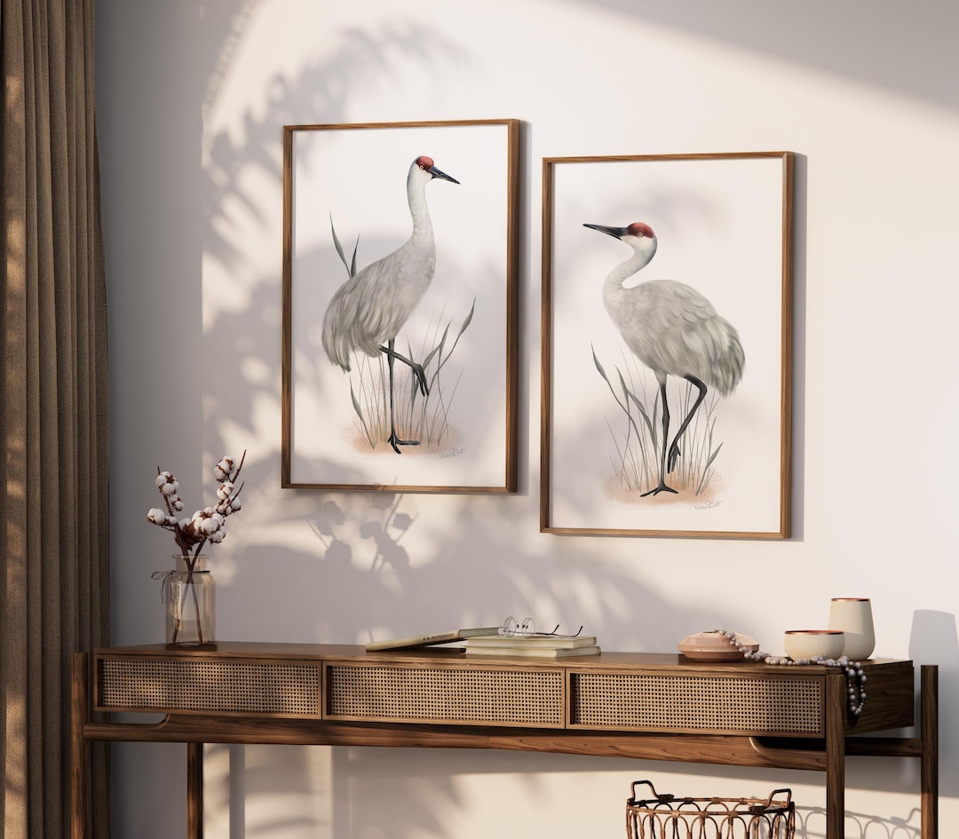 Sandhill Crane Art Prints: White Coastal Bird Decor, Set of 2 - Etsy