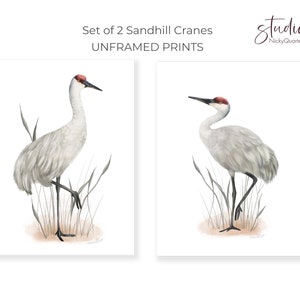 Sandhill Crane Art Prints, Set of 2 Tall Bird Prints, Farmhouse Bird Art, Coastal Bird Pictures, Great Plains Prairie Bird Artwork, image 2