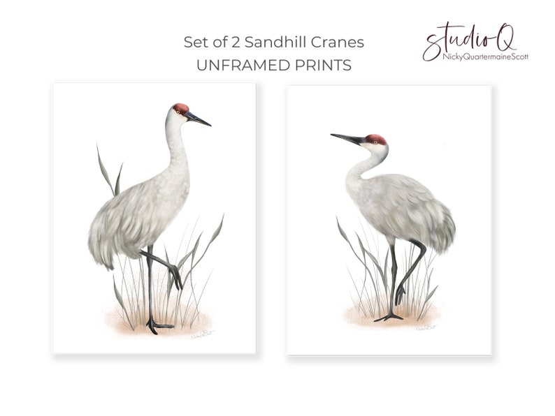 Sandhill Crane Art Prints, Set of 2 Tall Bird Prints, Farmhouse Bird Art, Coastal Bird Pictures, Great Plains Prairie Bird Artwork, image 2