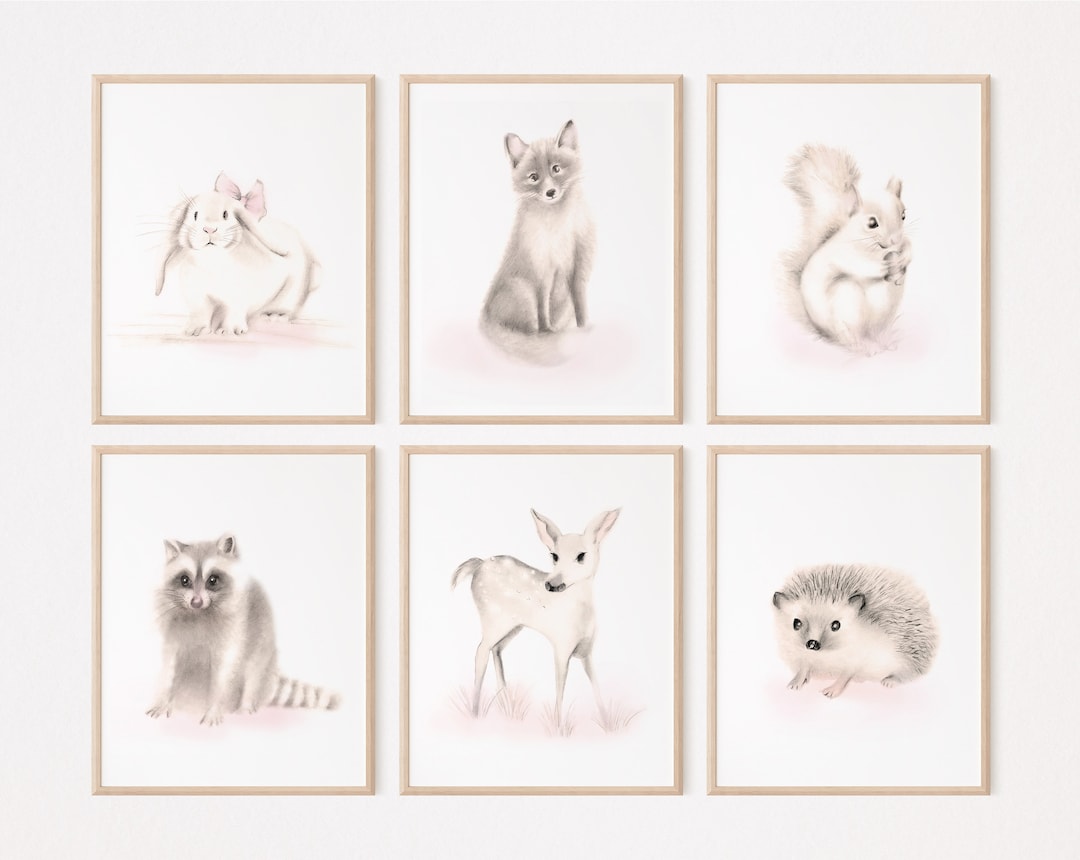 Woodland Nursery Prints for Baby Girl, Set of 6 Baby Animal Sketch Art ...