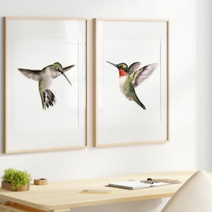 Set of 2 Hummingbird Art Prints, Male and Female Flying Hummingbirds, Tropical Bird Wall Decor, Wildlife Artwork, Gift for Bird Lover,