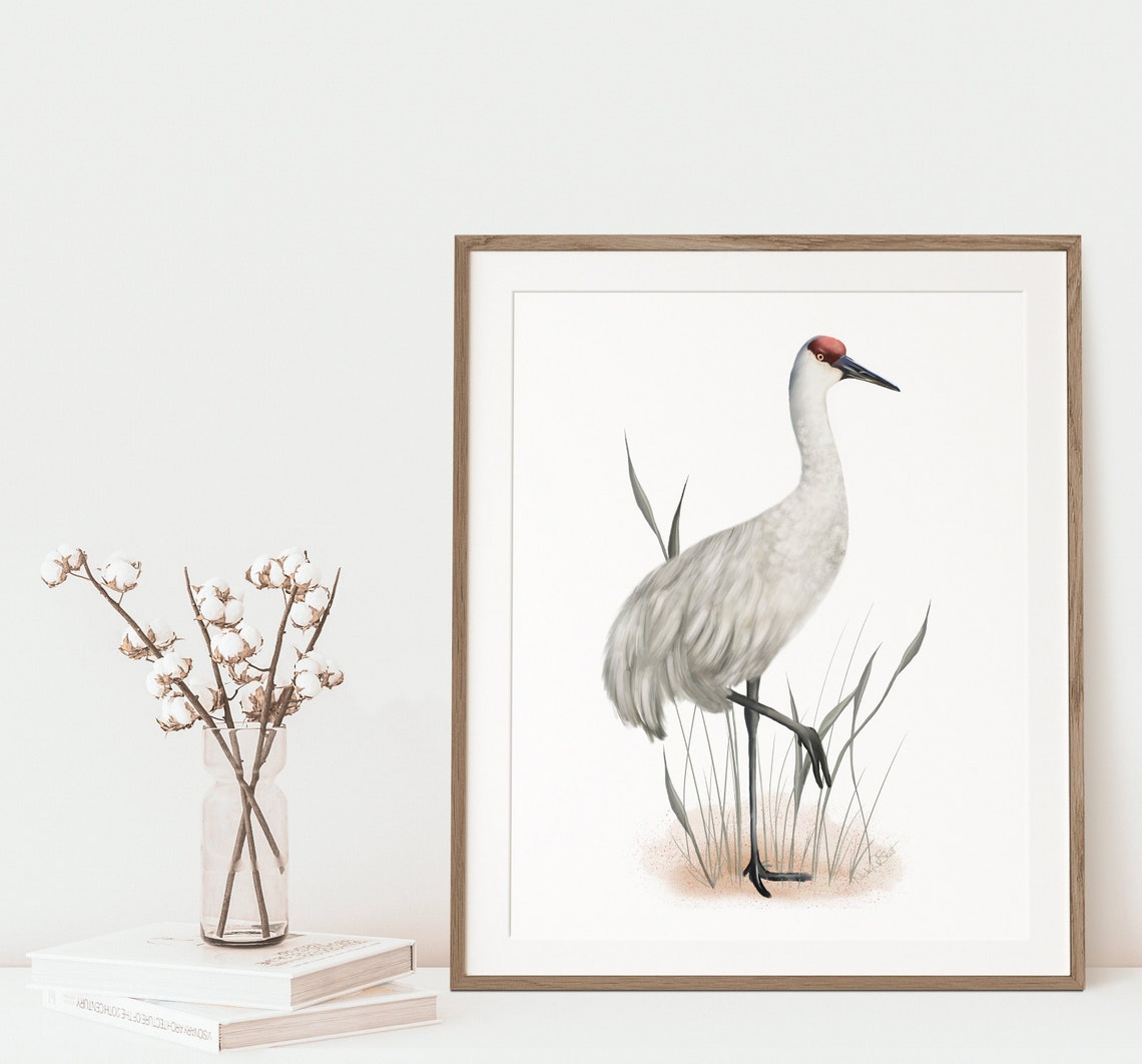 Sandhill Crane Wall Art Print Coastal Bird Print Bird Art - Etsy