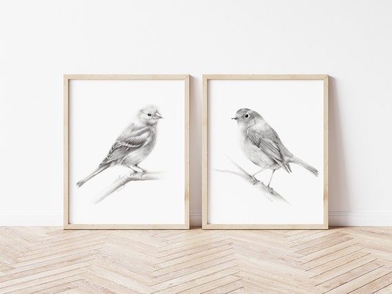 Bird Pencil Drawings Set Of 2 Bird Prints Farmhouse Wall Etsy
