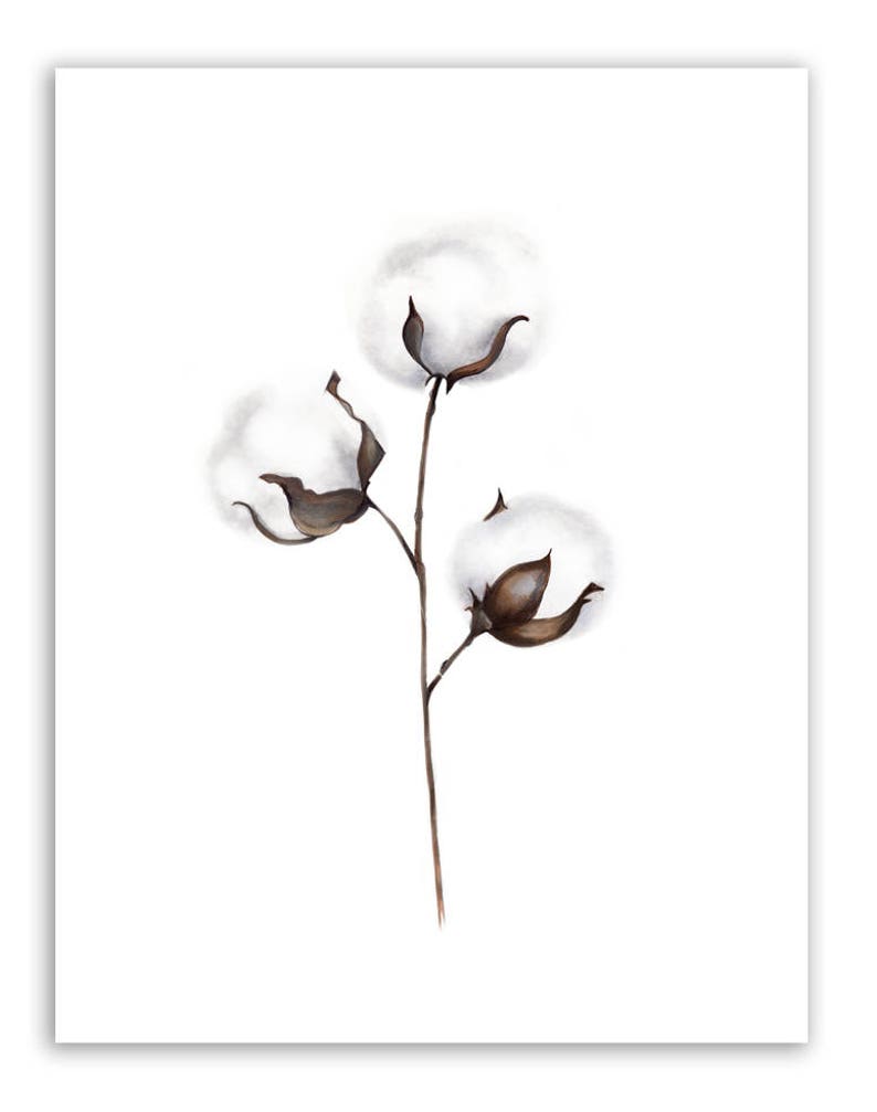 Cotton Branch Print Cotton Ball Art Floral Artwork Cotton Etsy