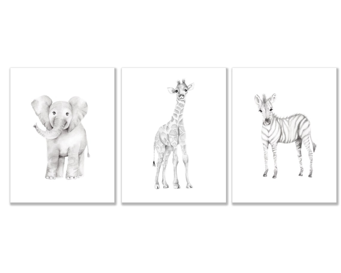 Safari Animal Prints Set of 3 Nursery Wall Decor Baby Animal Etsy