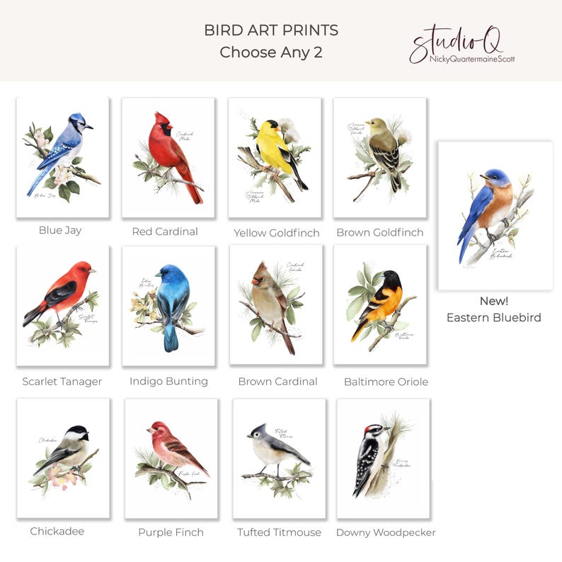 May include: A collection of bird art prints featuring watercolor illustrations of various North American birds, including a Blue Jay, Red Cardinal, and Yellow Goldfinch. The prints are displayed on a white background.