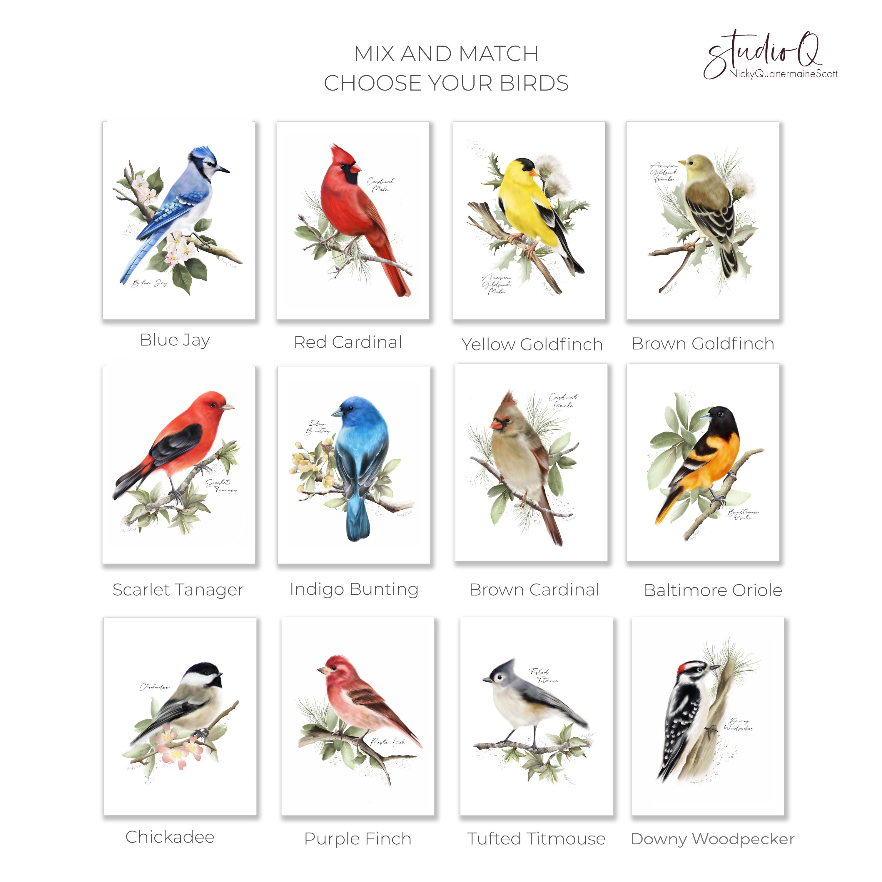 Backyard Birds Art Prints: Set of 6 Midwest Garden Birds \u0026 Flowers - Etsy, image size:3000x3000