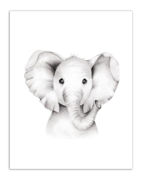Baby Elephant Nursery Print Baby Animal Sketch Safari - Etsy Baby Elephant Nursery Print Baby Animal Sketch Safari - Etsy