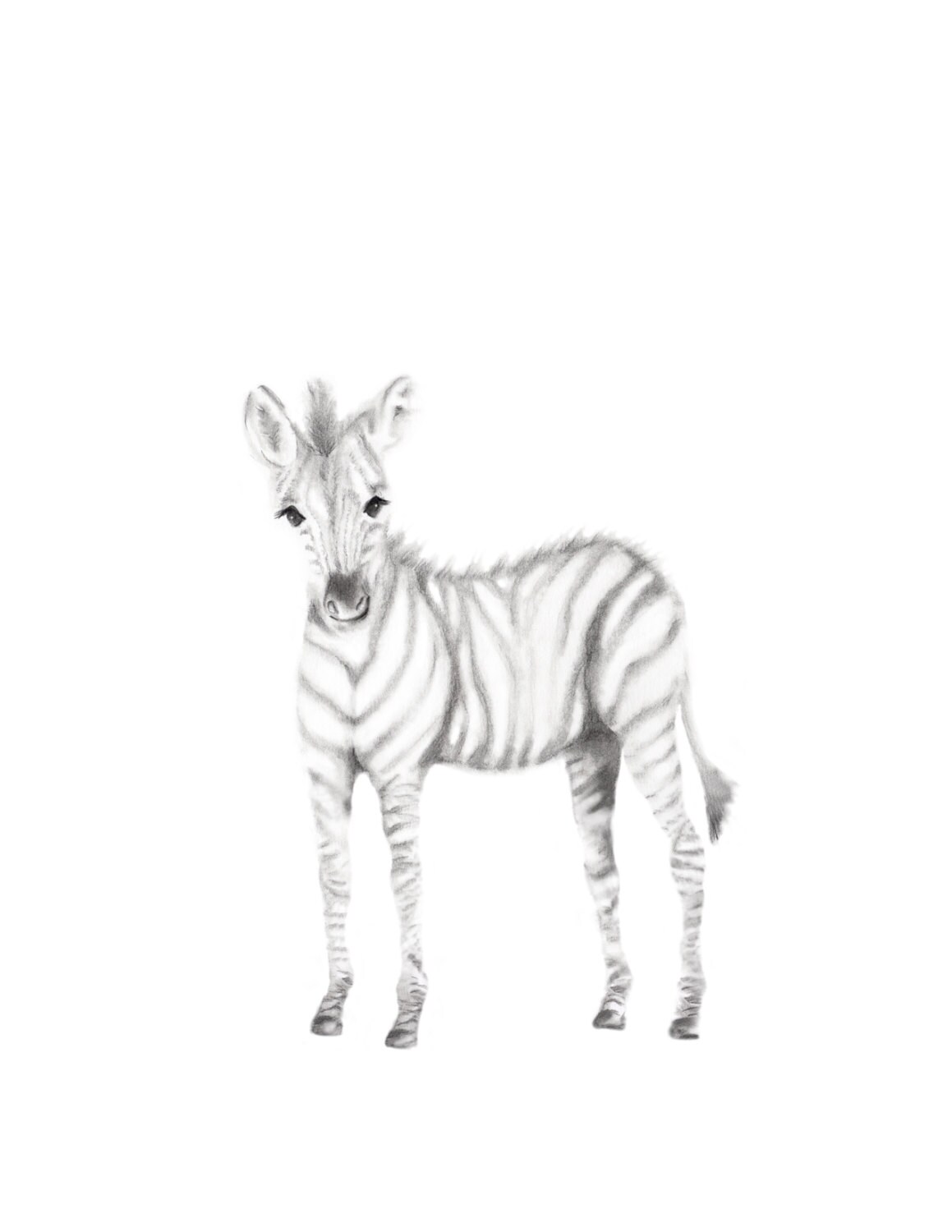 Safari Animal Prints Set of 3 Nursery Wall Decor Baby Animal Etsy