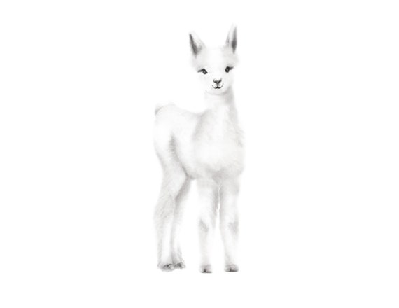 Bebe Lama Creche De Lart Dessin Au Crayon Pepiniere Gris Etsy