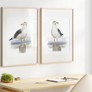 Set of 2 Seagull Art Prints, Coastal Wall Decor, Sea Bird Wall Art Gift, Ocean Bird Artwork, Nautical Bird Illustrations, Housewarming Gift,