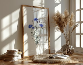 Blue Cornflower Art Print: Wildflower Floral Illustration