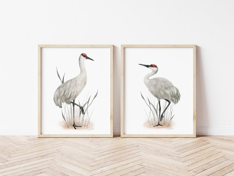 Sandhill Crane Art Prints, Set of 2 Tall Bird Prints, Farmhouse Bird Art, Coastal Bird Pictures, Great Plains Prairie Bird Artwork, image 3