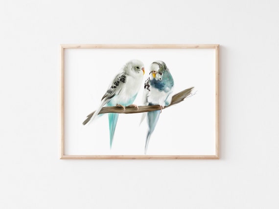 楽天市場】水彩画ハンドタオル ヨウム ◇ゆうパケット対応◇ インコ ことり 小鳥 雑貨 グッズ 25×25ｃｍ 角型 マイクロファイバー 吸水速乾  イラスト 鳥柄 おしゃれ リアルタッチ クール かっこいい 止まり木 バード アニマル 動物【クリエイティブモーション】 : ことり 