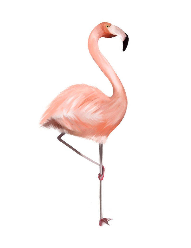 Flamingo Art Print Pink Flamingo Nursery Baby Wall Decor | Etsy