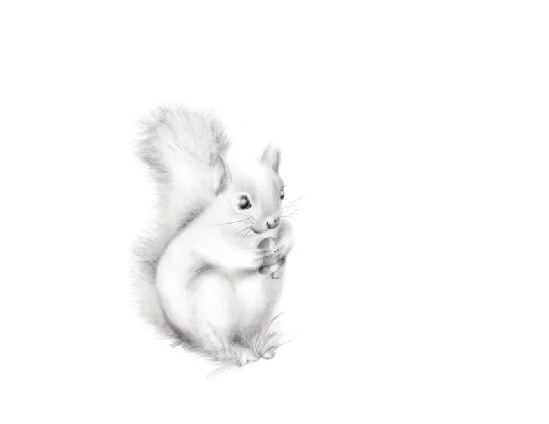 Squirrel Nursery Print Baby Animal Art Woodland Nursery Etsy