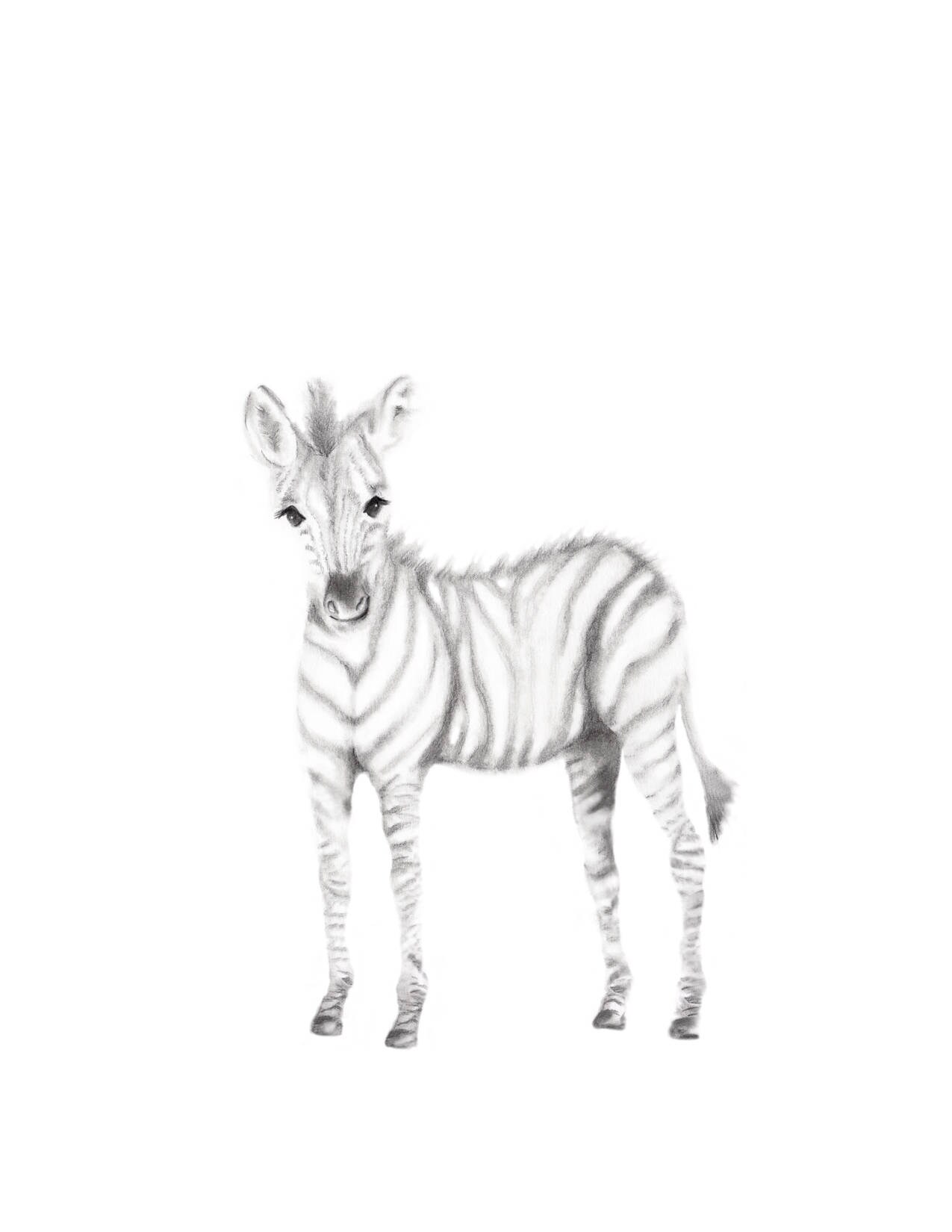 Safari Nursery Art Prints Baby Animal Pencil Drawings Animal | Etsy