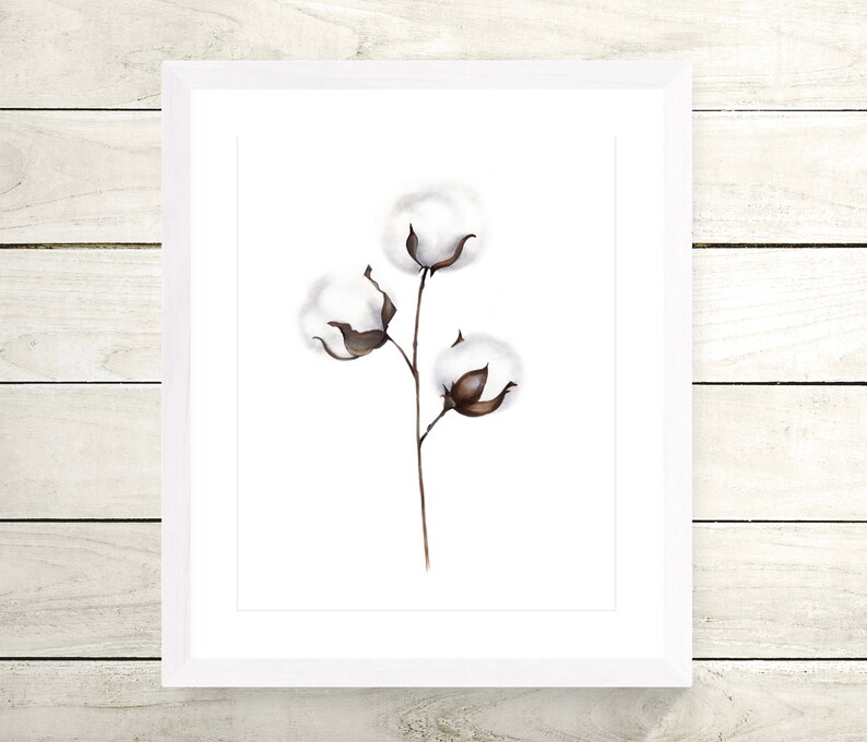 Cotton Branch Print Cotton Ball Art Floral Artwork Cotton Etsy