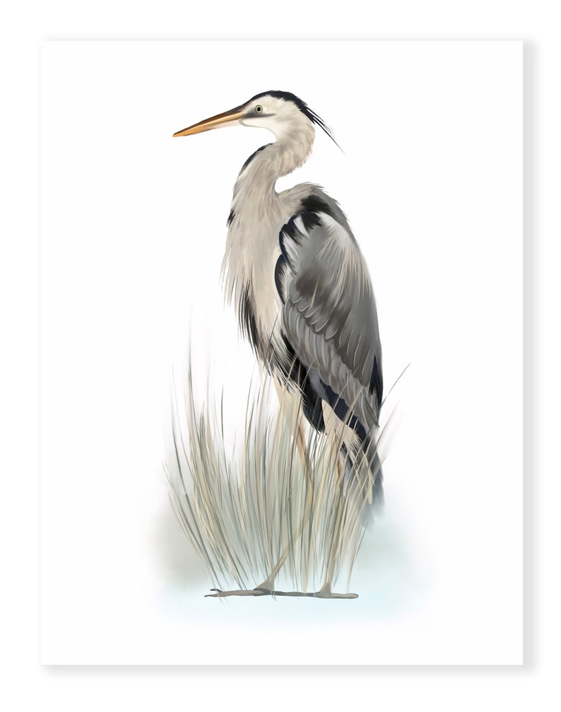 Heron Bird Art Prints Set of 2 Great Blue Herons Coastal Etsy