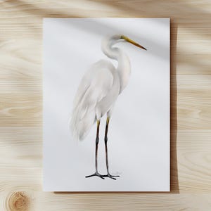 Egret Watercolor, Tall White Heron Art Print, Coastal Bird Decor image 3